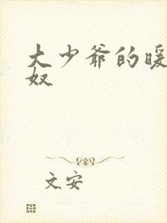 大少爷的暖床小奴