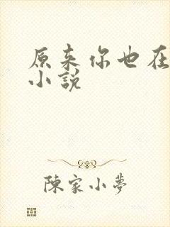 原来你也在这里小说