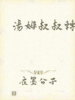 汤姆叔叔转接口