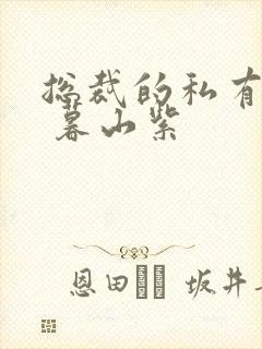 总裁的私有宝贝 暮山紫