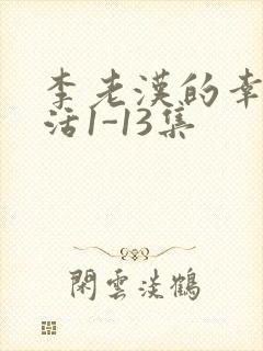 李老汉的幸福生活1-13集