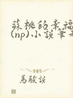 苏桃的幸福生活(np)小说笔趣阁沐沐