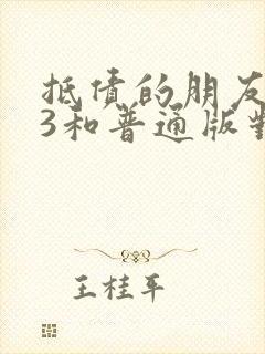 抵债的朋友麦子3和普通版对比