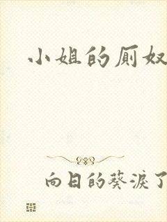 小姐的厕奴
