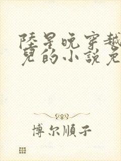 陆星晚穿越成婴儿的小说免费阅读全文