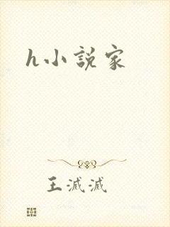 h小说家