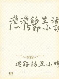 滢滢的生活日记1～15节小说