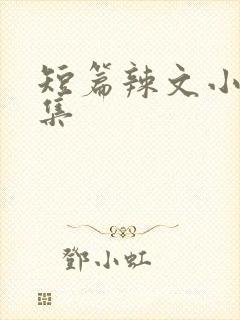 短篇辣文小说合集