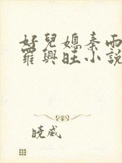 好儿媳秦雨罗明罗兴旺小说