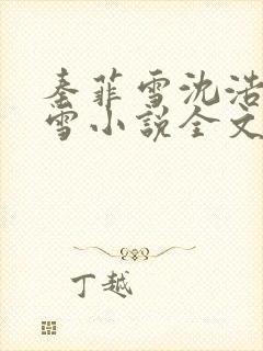 秦菲雪沈浩秦菲雪小说全文免费阅读求书