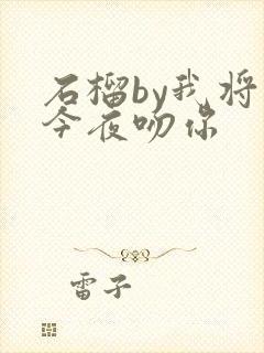 石榴by我将在今夜吻你
