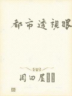 都市透视眼