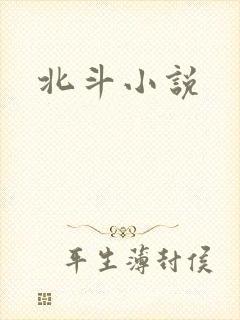 北斗小说