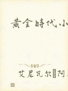 黄金时代小说