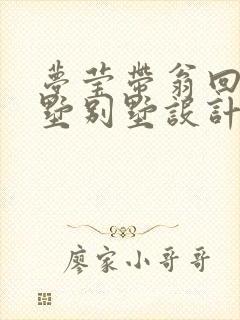 梦莹带翁回乡别墅别墅设计