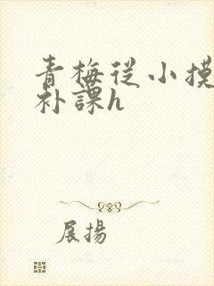 青梅从小摸到大补课h