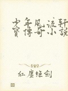 少年风流轩辕大宝传奇小说