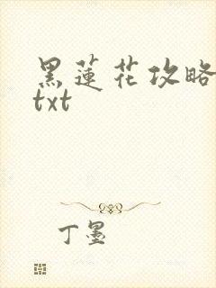 黑莲花攻略手册txt
