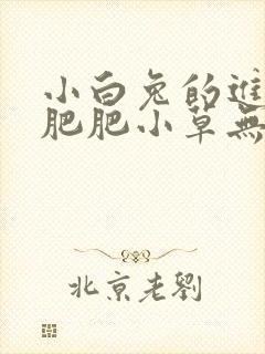 小白兔的进化史肥肥小草无防盗