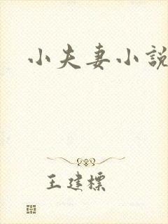 小夫妻小说