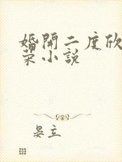 婚开二度欣欣向荣小说