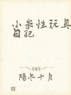 小米性玩具羞辱日记