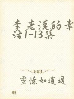 李老汉的幸福生活1-13集