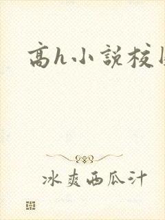 高h小说校园