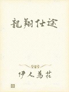 龙翔仕途