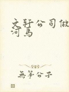 文轩公司做扩张河马