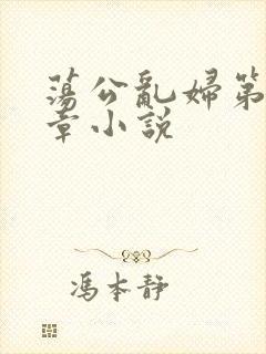 荡公乱妇第51章小说