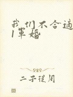 我们不合适1v1军婚