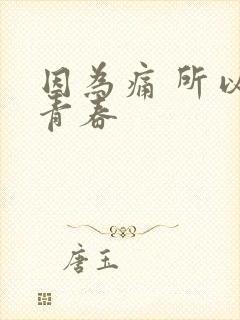 因为痛 所以叫青春