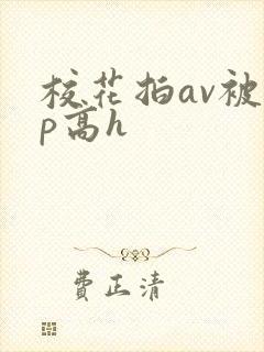 校花拍av被np高h