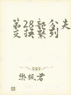 第28部分夫妇交换系列
