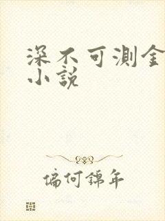 深不可测金银花小说