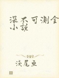 深不可测金银花小说