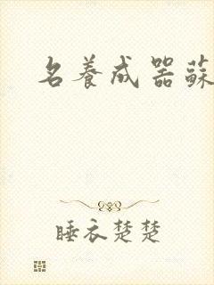 名养成器苏沫沫