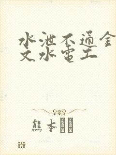 水泄不通金银原文水电工