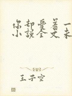 你却爱着一个他小说全文未删减免费