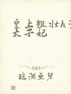 皇上粗壮h灌满太子妃