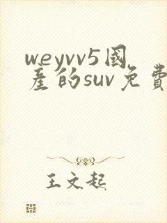 weyvv5国产的suv免费