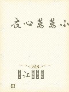 夜心万万小说