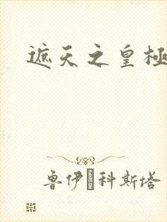 遮天之皇极帝道