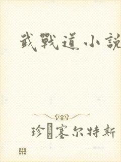 武战道小说