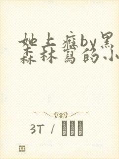 她上瘾by黑暗森林写的小说免费阅读无弹窗