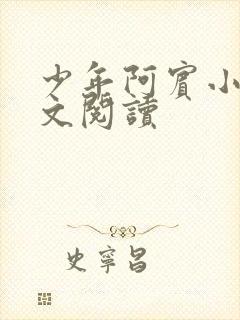 少年阿宾小说全文阅读