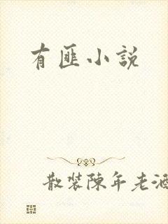 有匪小说