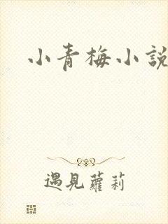 小青梅小说