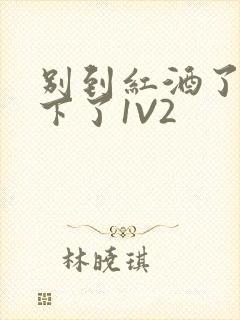 别到红酒了装不下了1V2